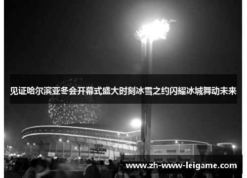 见证哈尔滨亚冬会开幕式盛大时刻冰雪之约闪耀冰城舞动未来